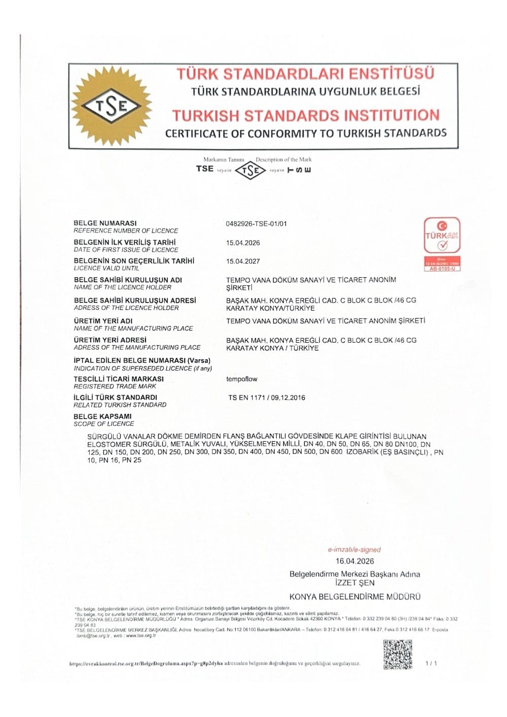 TS EN 1171 belgesi önizlemesi